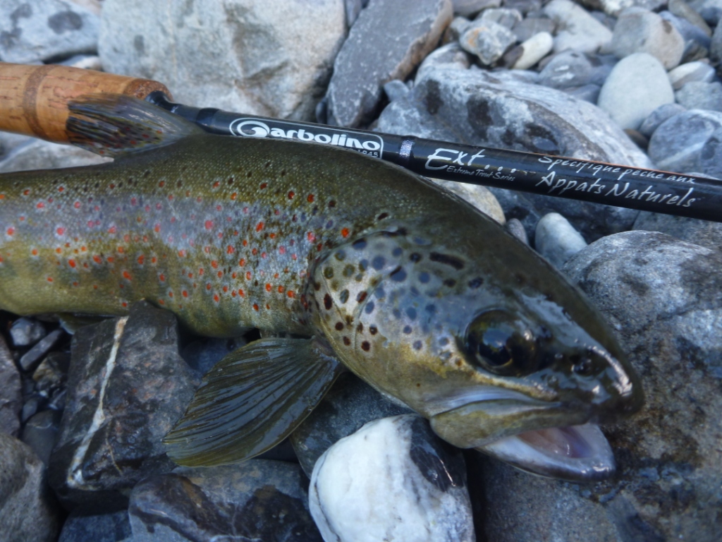 canne peche au toc garbolino