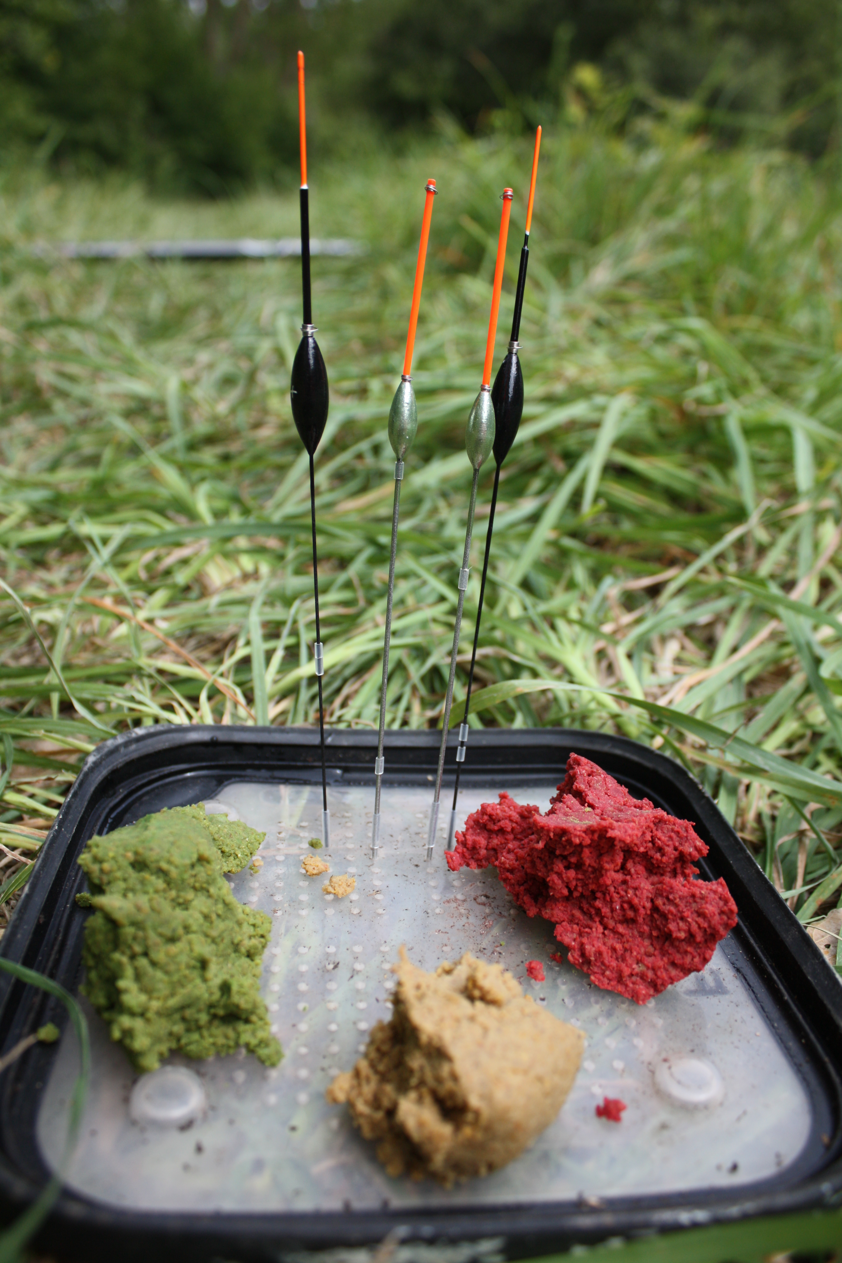 La Carpe au coup La pêche