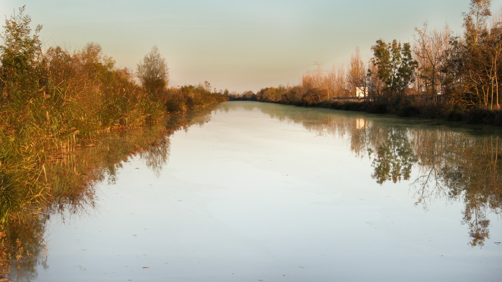 festival_carassin_garbolino_peche au coup_canal_marennes_carassin_carpe_gmax_diamant_canal marennes