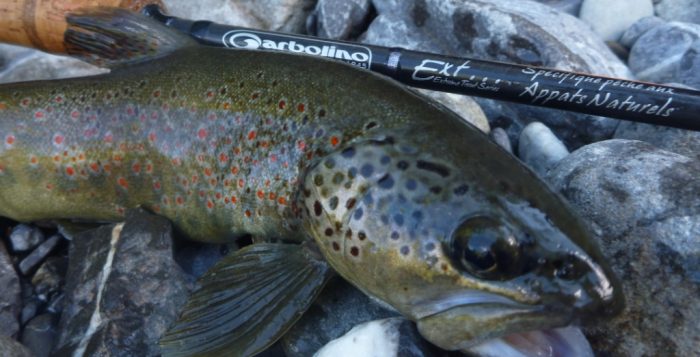Ensemble de trois nouveaux Carpe DRENNAN 3 flotteurs conseils mixte