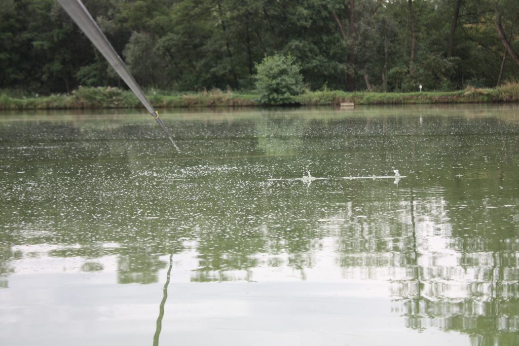 Impact de la ligne sur l'eau, le mouvement doit +¬tre sec et r+®p+®t+® pour ressembler tant que possible +á la chute des pellets +á la surface de l'eau (5)