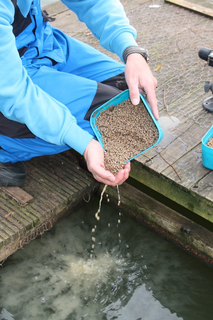 Pellets attendris et nuageant