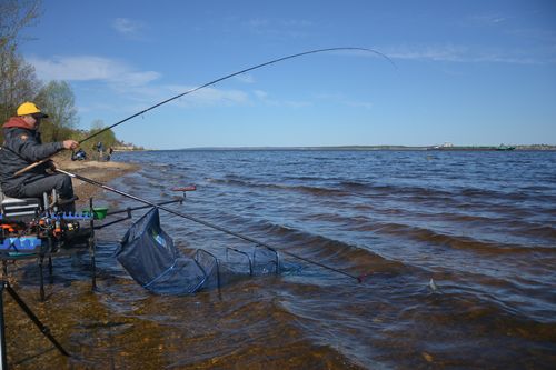 fadeev_tectra390s_002 canne pêche feeder rivière Volga puissante