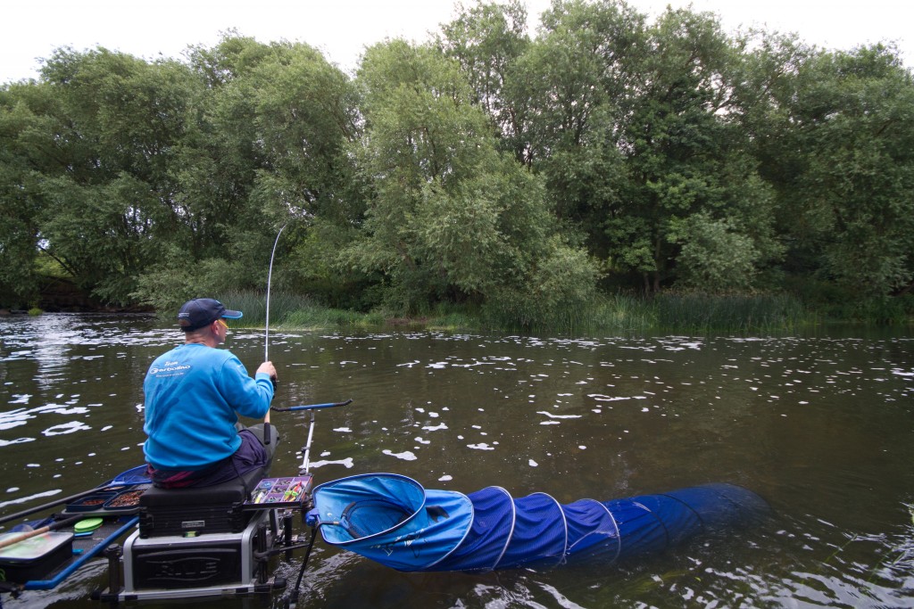 Chevesne au coup rivière Avon