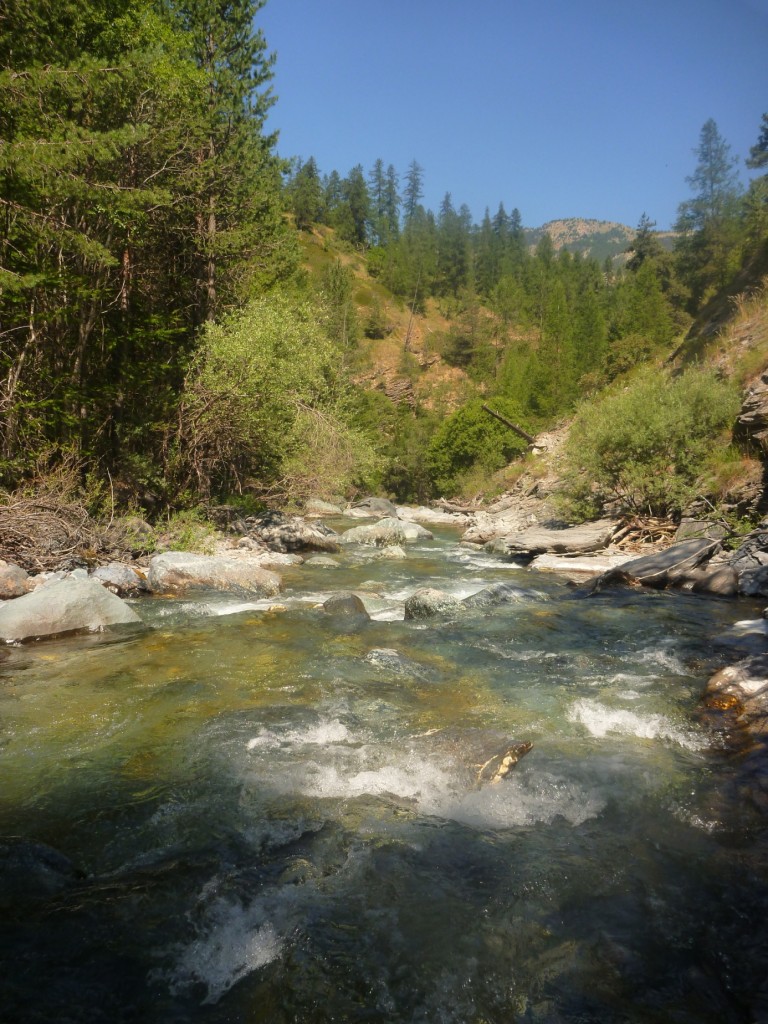 Pêche-de-la-truite-en-Juin-Scoda.1-pêche truite toc montagne-vasque