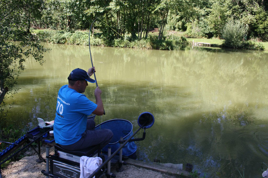 laurent-emonet-carpe-coup-garbolino-2-pêche coup F1-carassins-poisson rouge-carpodrome-bussiares