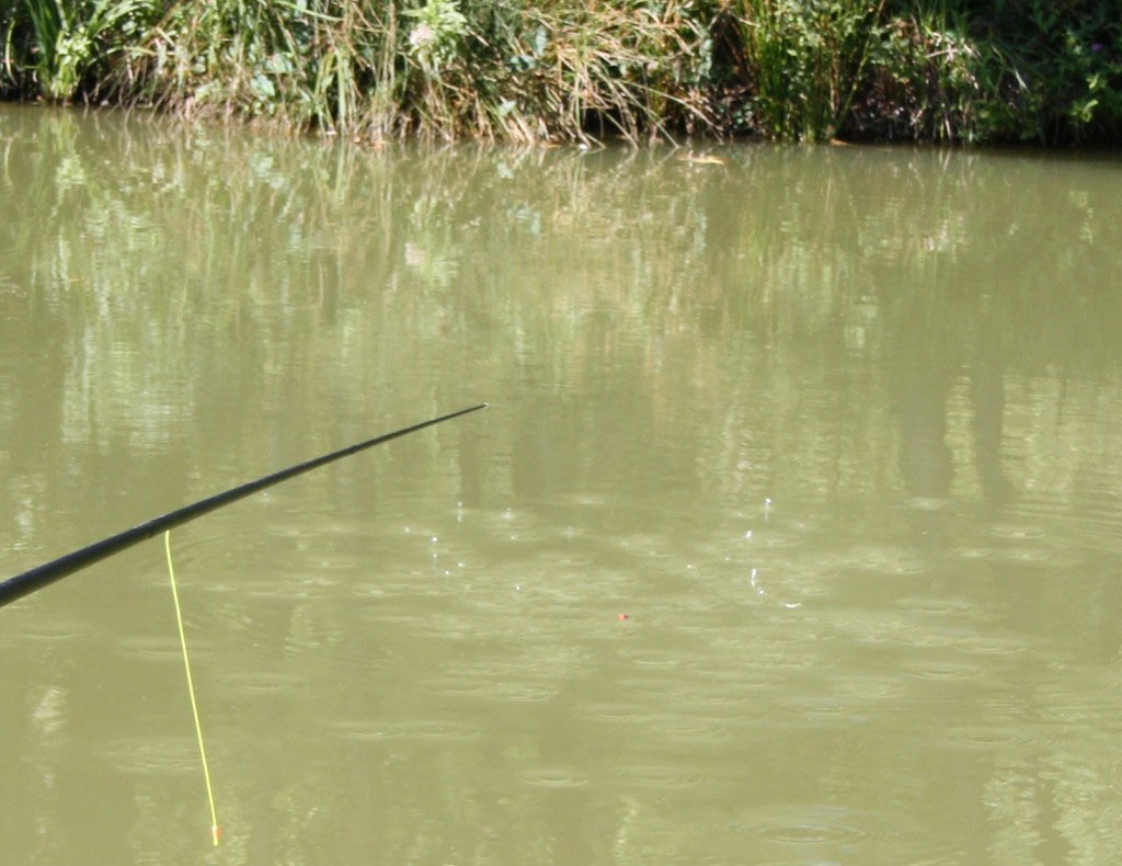 laurent-emonet-carpe-coup-garbolino-4-pêche coup F1-carassins-poisson rouge-carpodrome-bussiares