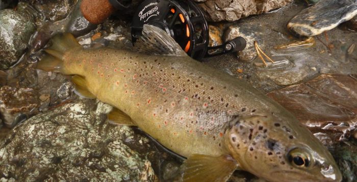 peche-truite-au-toc-garbolino20