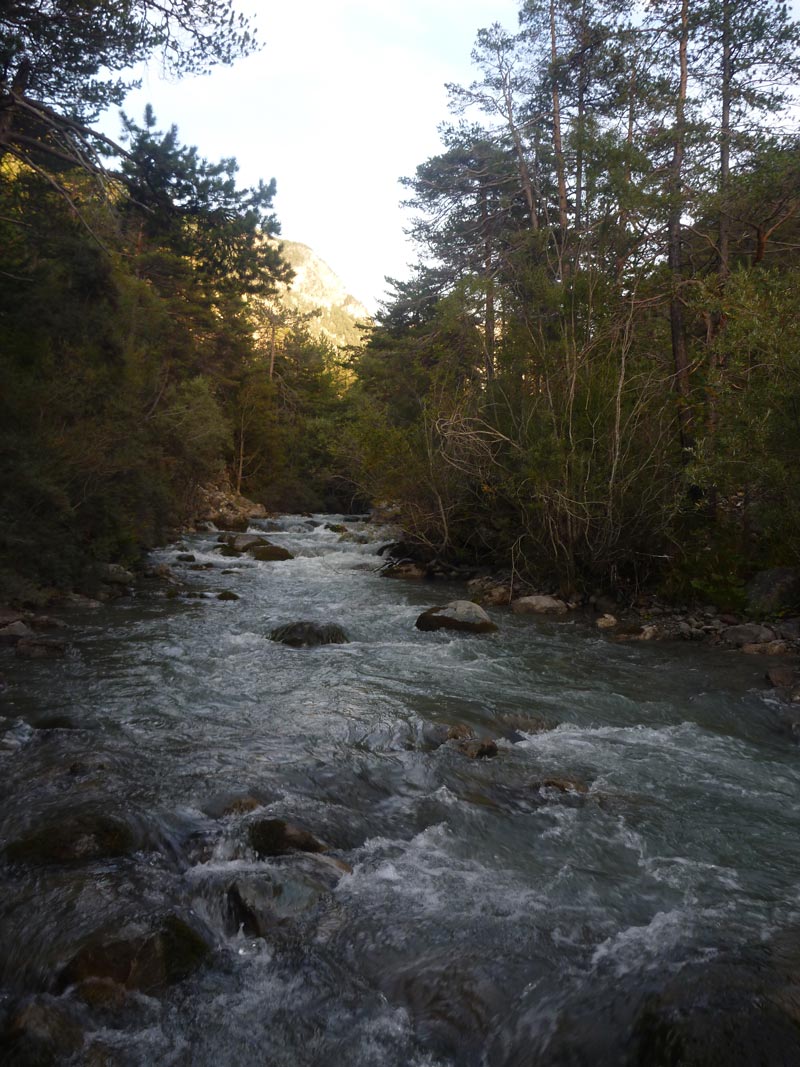 peche-truite-au-toc-garbolino23-coup-du-soir-pêche-rivière-forte