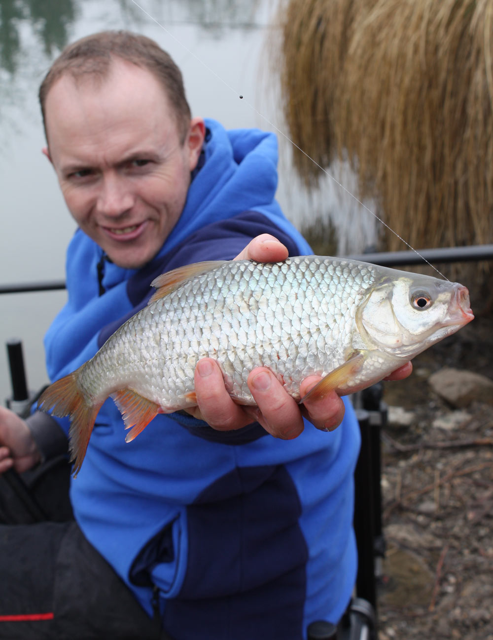 gardon-peche-au-coup-en-etang