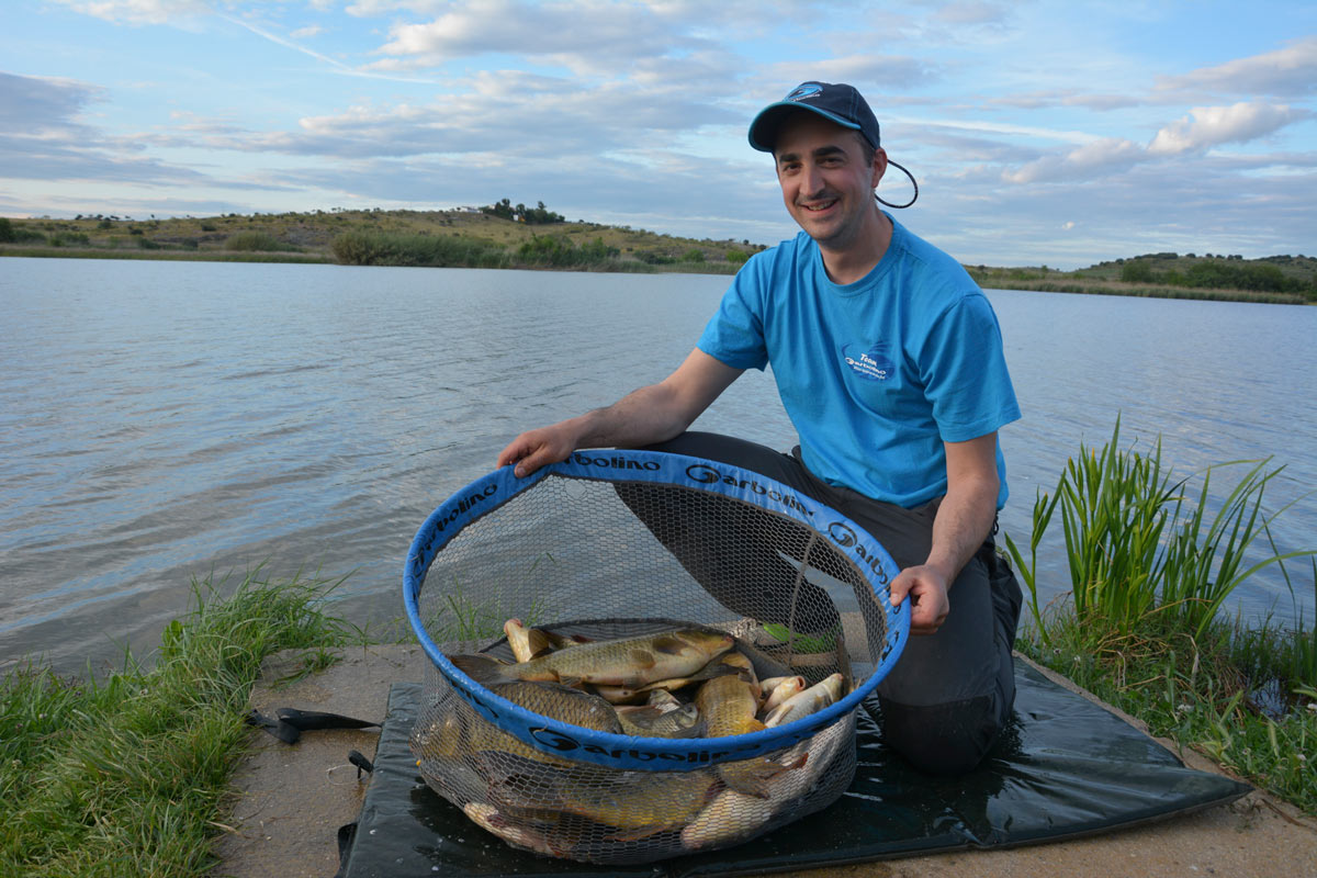 peche-carpe-feeder