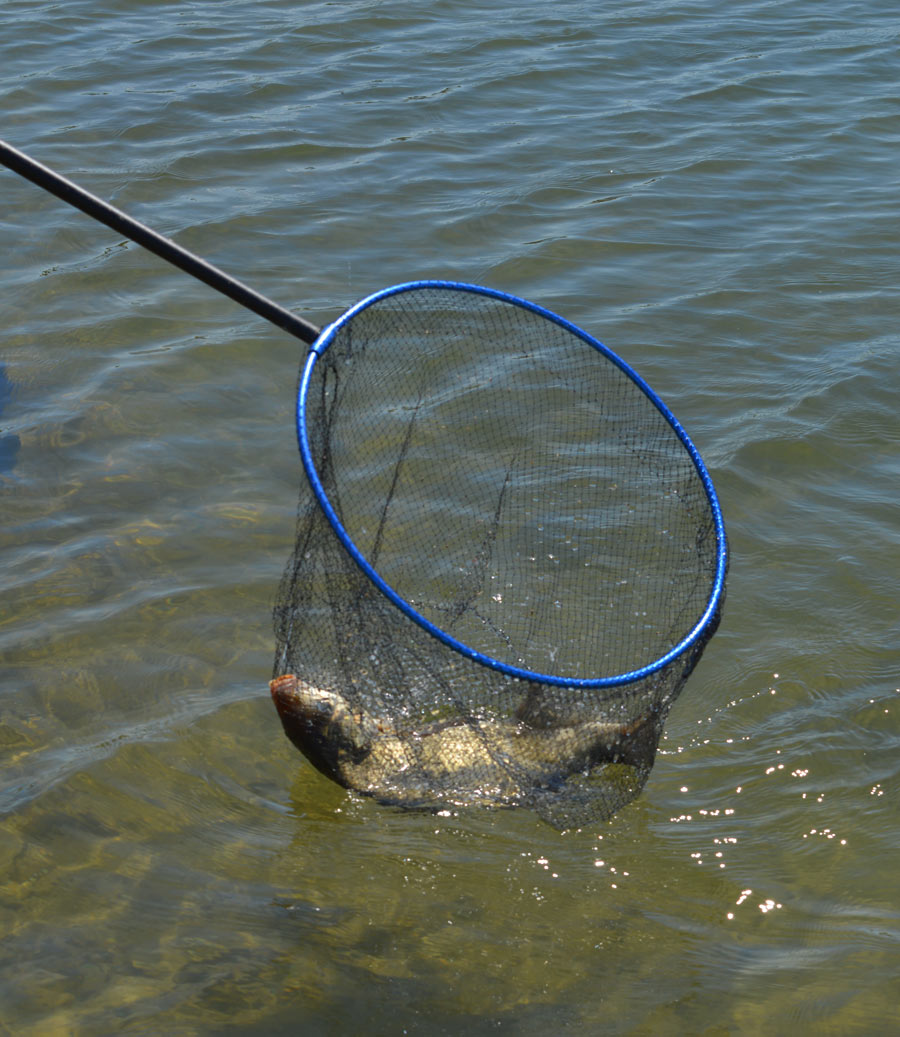 libourne-lac-des-dagueys-competition-peche-coup-6