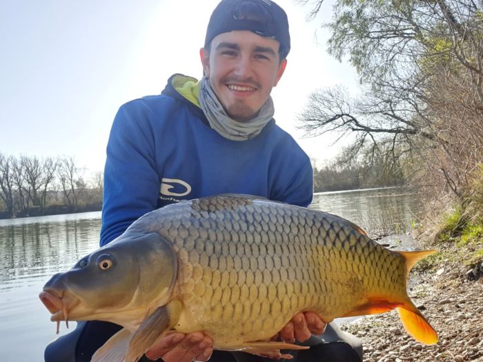 Pêche au coup et gros poissons - Carpe au coup avec GURU 