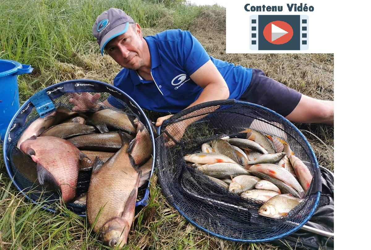 Matériel de pêche au feeder, au quiver et pêche anglaise