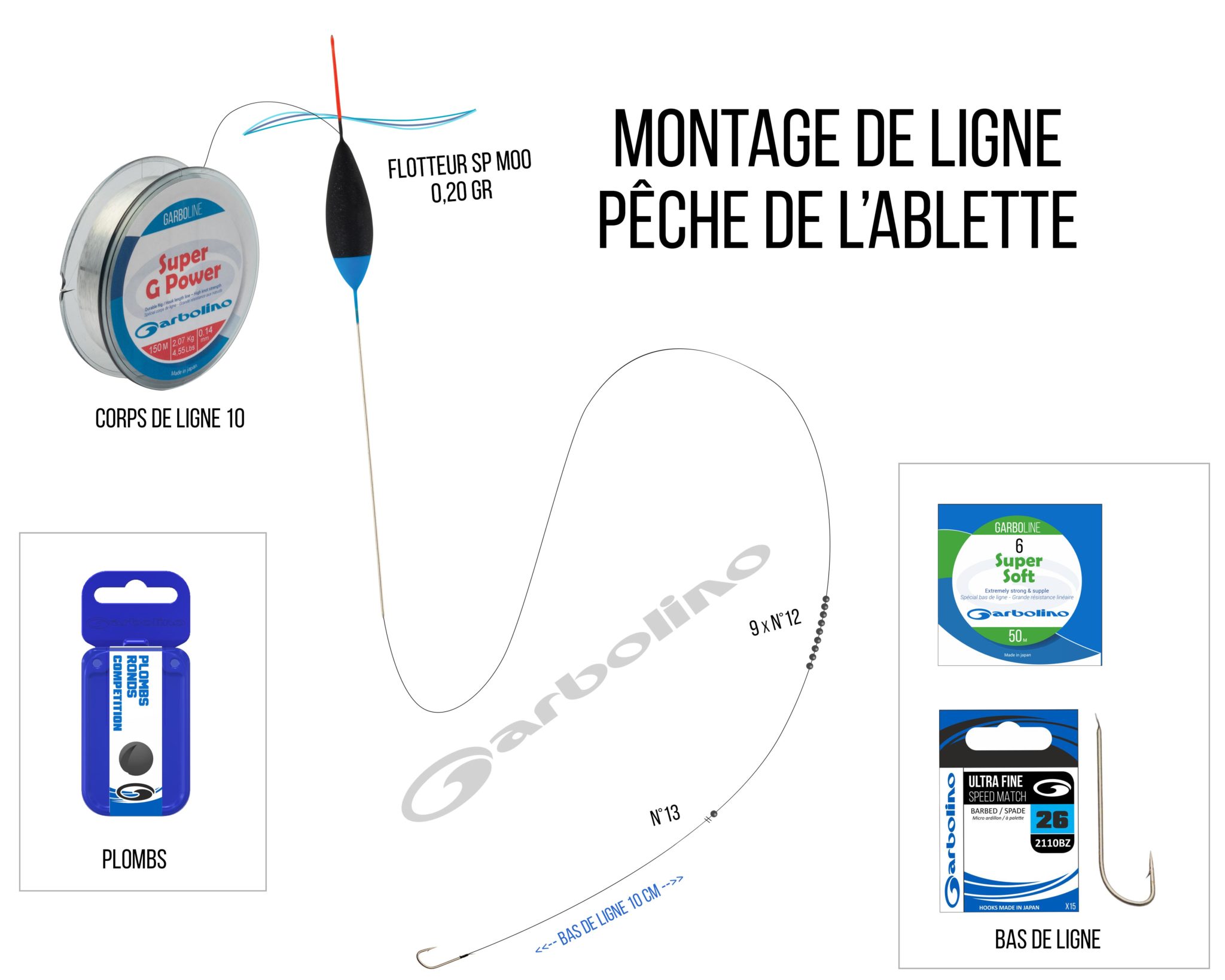 L'ablette, ce petit poisson qui se pêche en période creuse - ICI