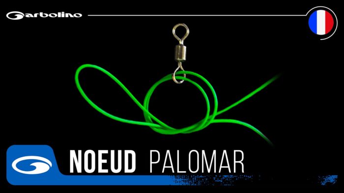 comment bien faire un noeud palomar pour raccord emerillon pêche anglaise feeder