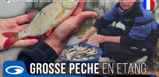 Pêche au coup en étang au printemps : trucs et astuces