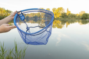 Têtes d'épuisettes pour la pêche au coup