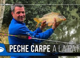 La pêche de la carpe à la pâte La pêche de la carpe à la pâte