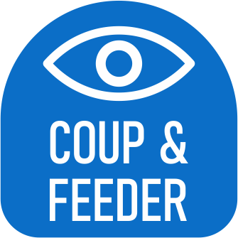 LOGO VOIR COUP2