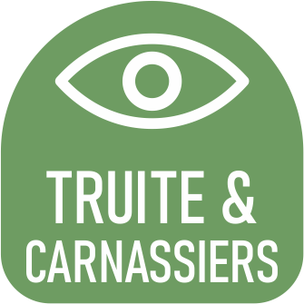 LOGO VOIR TRUITE2