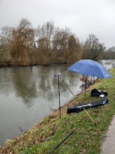 Pêche du barbeau au feeder 