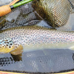 Canne Héritage Nymphe : canne anglaise pour la pêche en nymphe au toc