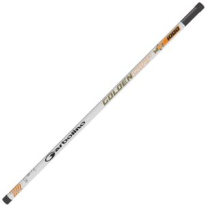 canne GOLDEN CARP 21 Garbolino