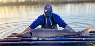 pêche des spécimens au coup