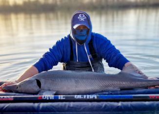 pêche des spécimens au coup