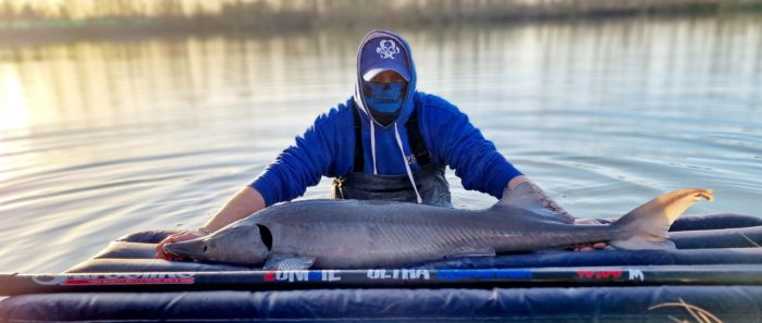 pêche des spécimens au coup