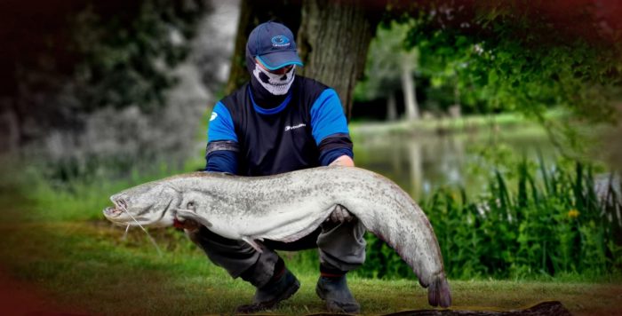 La pêche du silure au coup