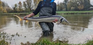 Pêche des spécimens à la grande canne
