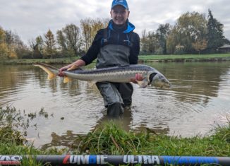 Pêche des spécimens à la grande canne