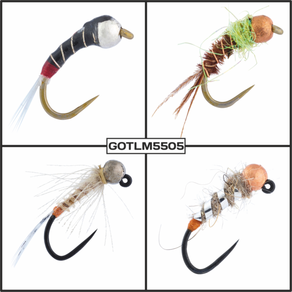 GOTLM5505