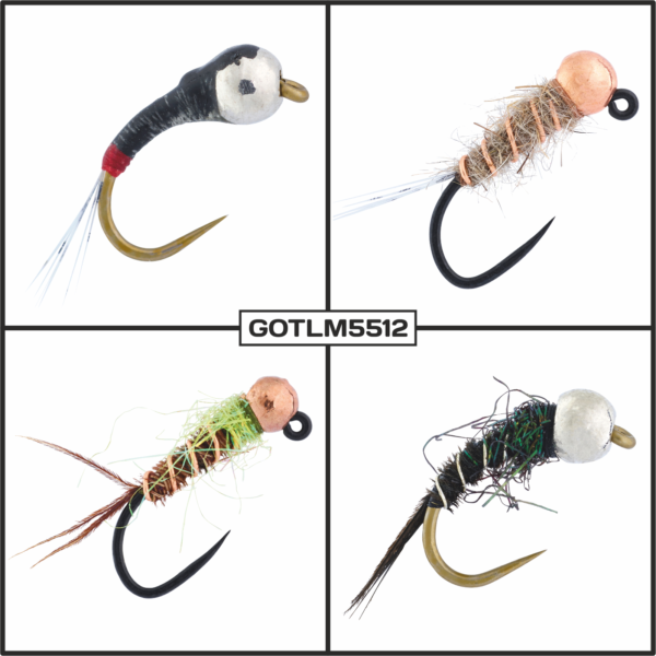GOTLM5512