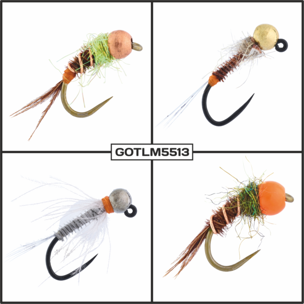 GOTLM5513