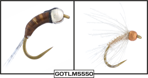 GOTLM5550