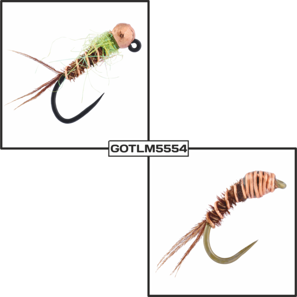 GOTLM5554